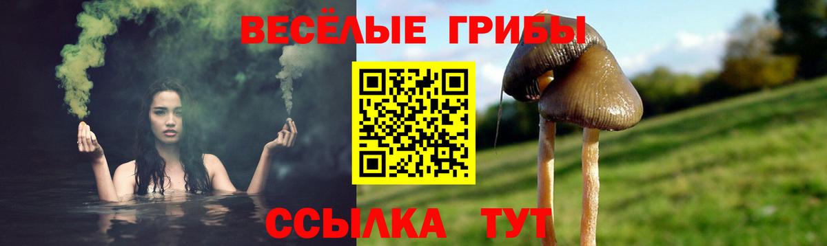 Псилоцибиновые грибы прущие грибы  Вход с VPN  Псилоцибиновые грибы Cubensis  Рубцовск 